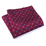 Pochette costume homme - Vignette | La Maison de la Pochette
