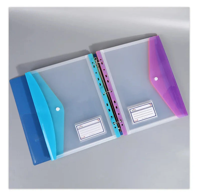 pochette rabat perforee classeur A4 bleu ry violet 
